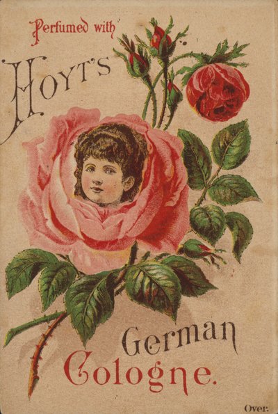 Cologne allemande de Hoyt - American School
