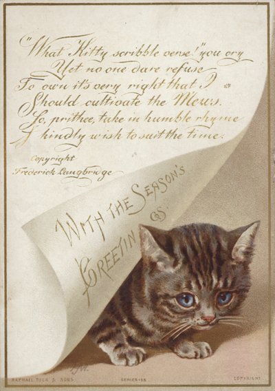 Chaton caché sous une lettre - American School