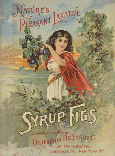 Dame cueillant des figues - American School