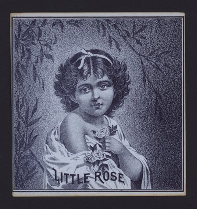 Little Rose, étiquette de cigare - American School