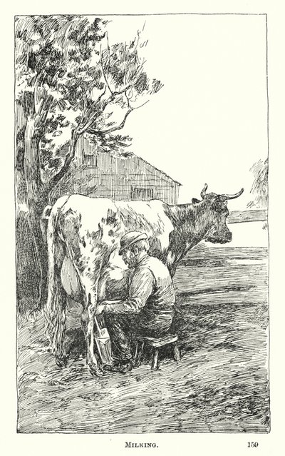 Traite (gravure) - American School