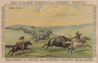 Amérindiens chassant le bison - American School
