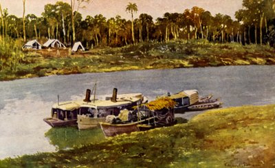 Sur le Haut Amazone - American School