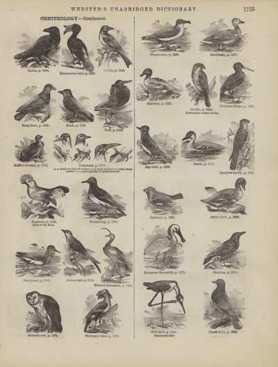 Page du dictionnaire complet de Webster (George Bell) - American School