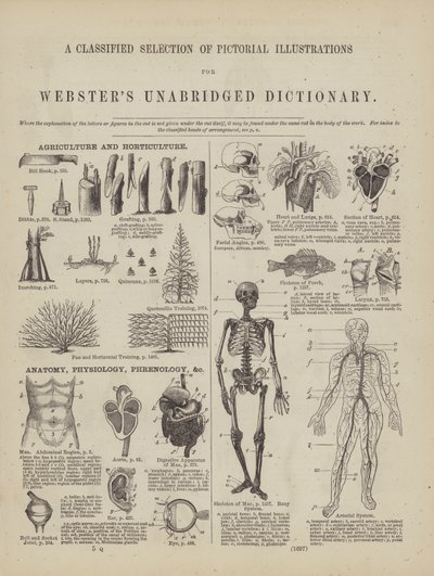 Page du dictionnaire complet de Webster (George Bell) - American School