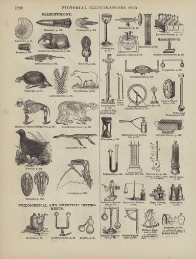 Page du dictionnaire complet de Webster (George Bell) - American School