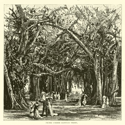 Pique-nique sous les banians - American School
