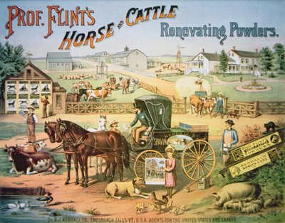 Poudres rénovatrices pour chevaux et bovins du professeur Flint, vers 1900 - American School