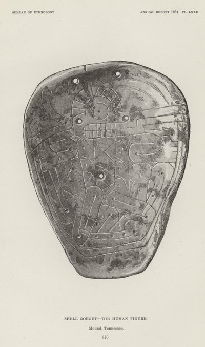 Gorget en coquillage - La figure humaine - American School