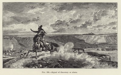 Signal de découverte ou d