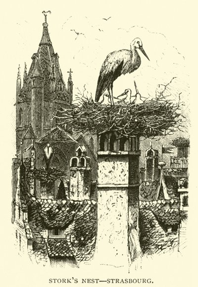 Nid de cigognes, Strasbourg - American School