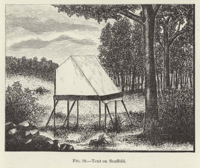 Tente sur échafaud - American School