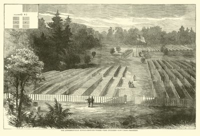 Les cimetières d