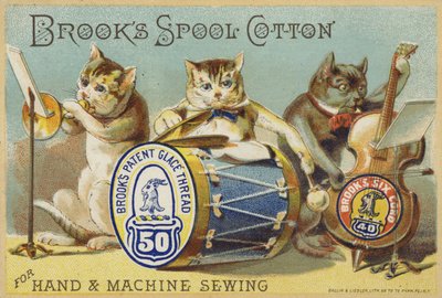 Le groupe de chats - American School