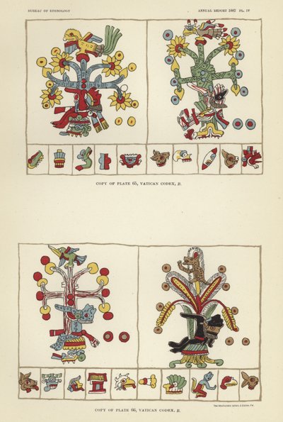 Codex Vatican - American School