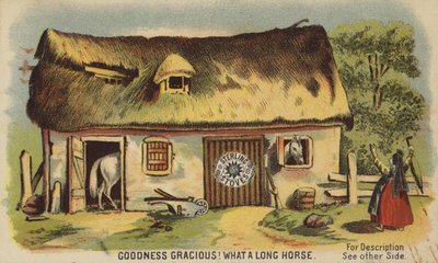 Quel long cheval - American School
