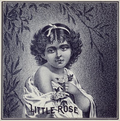 Jeune fille tenant des roses - American School