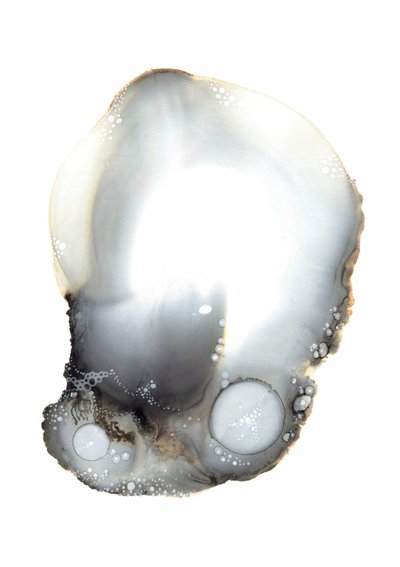 Exemple XI - Amy Louise Baker