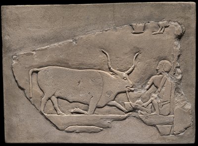 Fragment de mur d