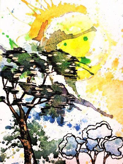 Résumé : Arbres ensoleillés - Anda Bieza