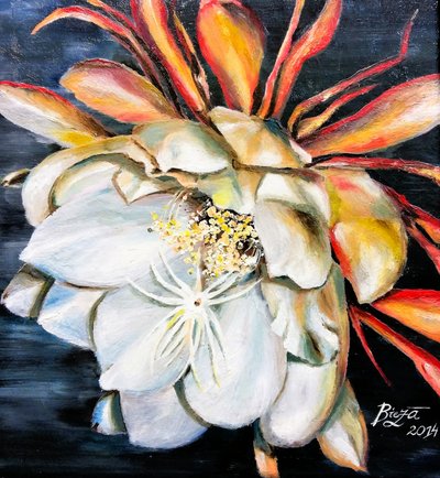 La reine de la fleur nocturne - Anda Bieza