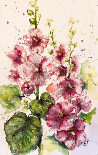 Des roses trémières d