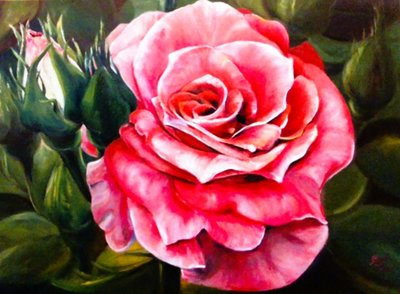Une rose rose vif en pleine floraison - Anda Bieza