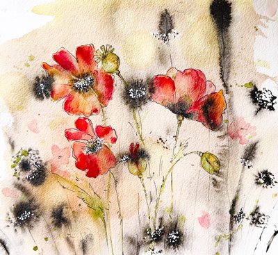 Aquarelle de pavot sauvage - Anda Bieza