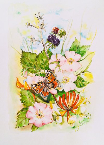 Jardin des fleurs sauvages et des papillons - Anda Bieza