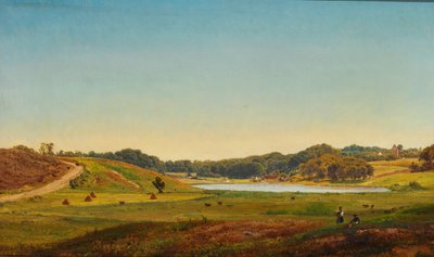 Paysage de récolte danois - Anders Christian Lunde