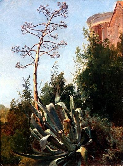 Paysage; Italie du Sud - Anders Christian Lunde