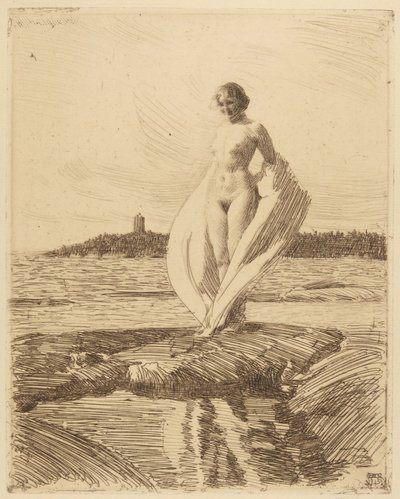 Le Cygne - Anders Leonard Zorn