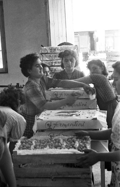 RAISINS AMERS - EMBALLAGE DE MARQUE - Ando Gilardi