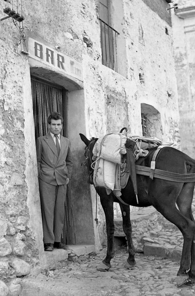 ARRÊTEZ AVEC LA MULE - Ando Gilardi