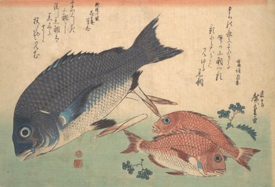 Kurodai et Kodai avec pousses de bambou et baies, de la série Uozukushi Every V..., années 1830 - Ando Hiroshige