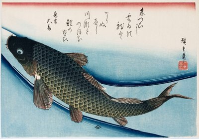« Carpe », de la série « Collection de poissons » - Ando or Utagawa Hiroshige