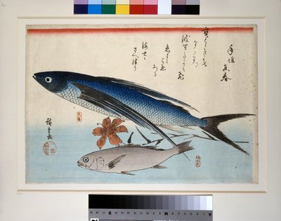 Poisson volant, poisson ishimochi et lys - Ando or Utagawa Hiroshige