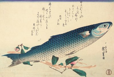 Mulet gris, camélia et udo - Ando or Utagawa Hiroshige