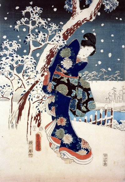 Scène de neige dans le jardin d