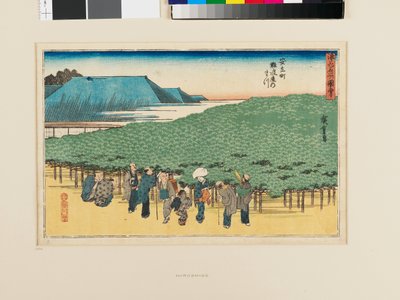 Le pin Naniwa à Adachi-chō - Ando or Utagawa Hiroshige