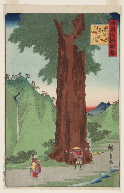 Le cèdre Yatate dans la province de Kai - Ando or Utagawa Hiroshige