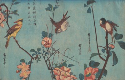 Mésange et camélias, moineau et roses sauvages et loriot à nuque noire et fleurs de cerisier, vers 1833 - Ando or Utagawa Hiroshige