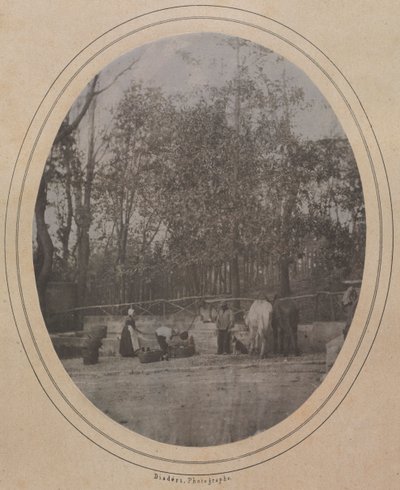 Scène de village dans le sud de la France, c. 1853 - Andre Adolphe Eugene Disderi