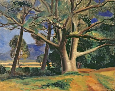 Le grand arbre, vers 1929-30 (huile sur toile) (voir aussi 287578) - Andre Derain
