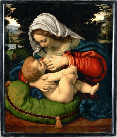 La Vierge au coussin vert - Madonna with green cushion ... - Andrea Solario