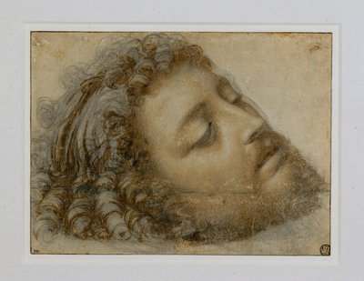 Tete de Saint Jean-Baptiste … - Andrea Solario