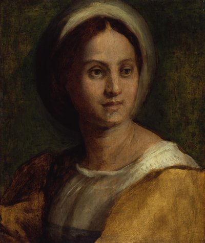  - Andrea del Sarto