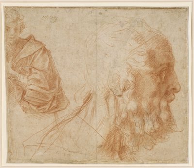  - Andrea del Sarto