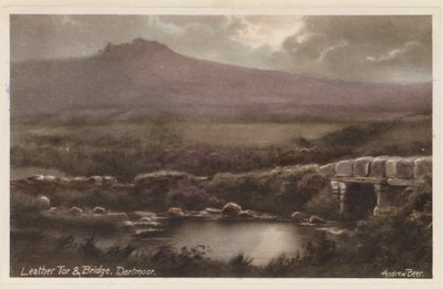 Leather Tor et son pont, Dartmoor (photo couleur) - Andrew Beer