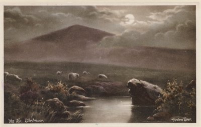 Yes Tor, Dartmoor (photo couleur) - Andrew Beer